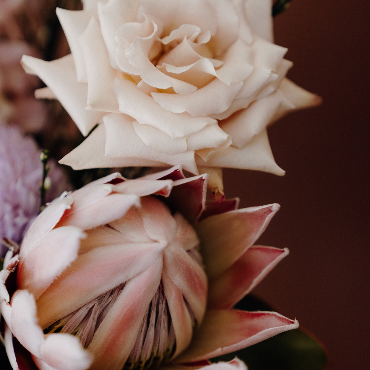 Premium Auckland Florist & Gifts - Bespoke Bouquets | Blush – BLUSH