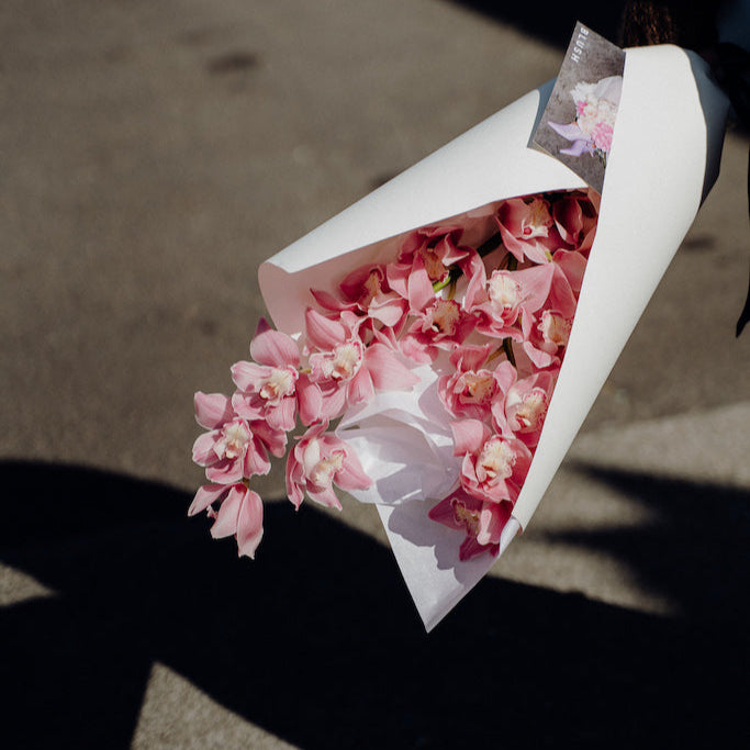 ORCHIDS - WRAPPED