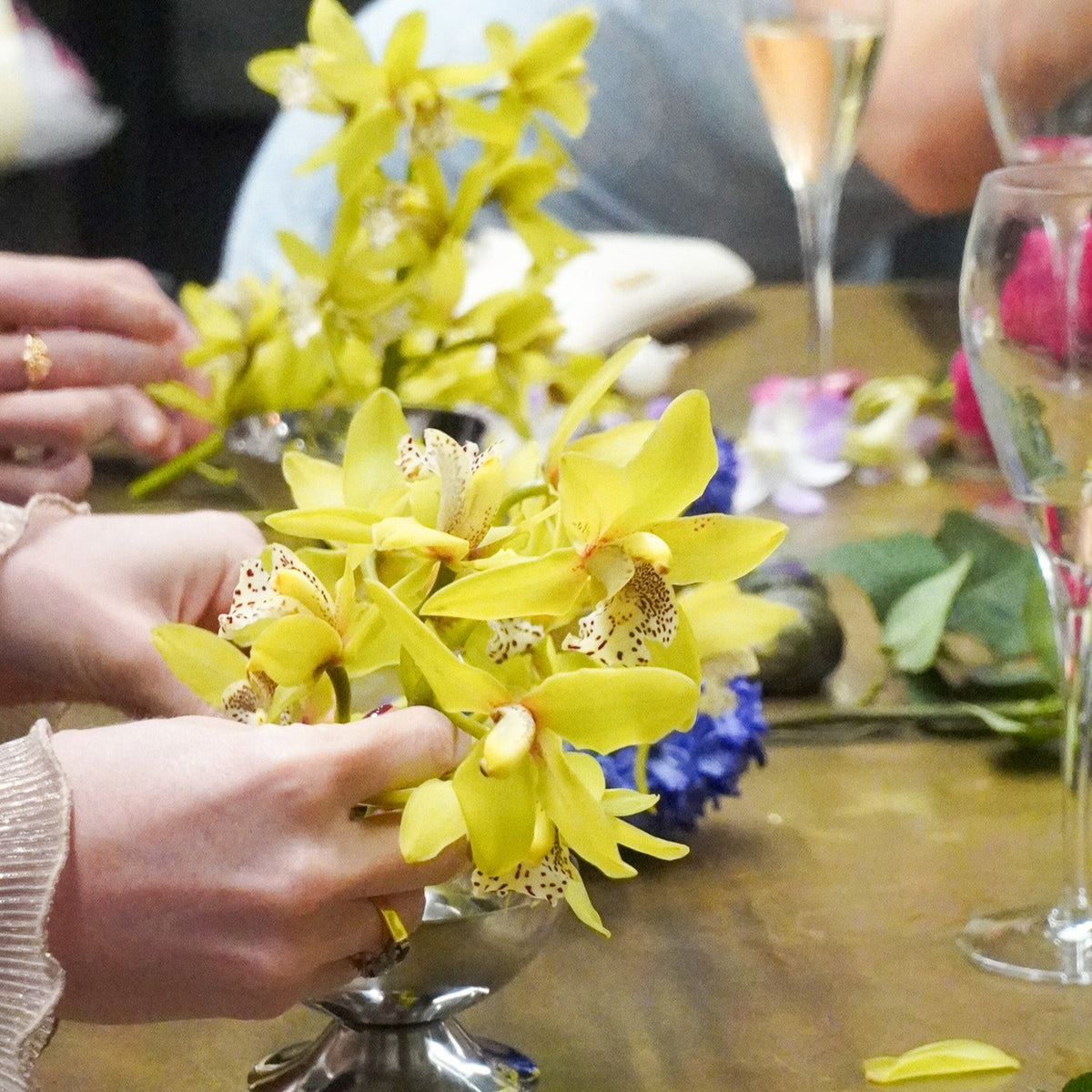 blush winter workshops
