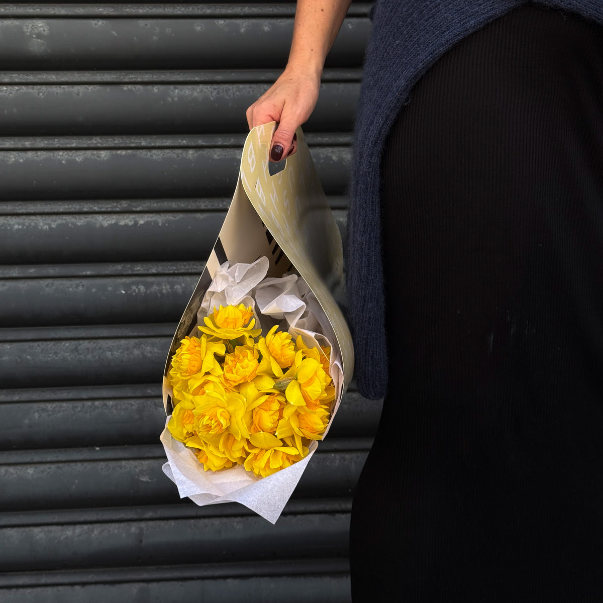 The Daffodil Carrier