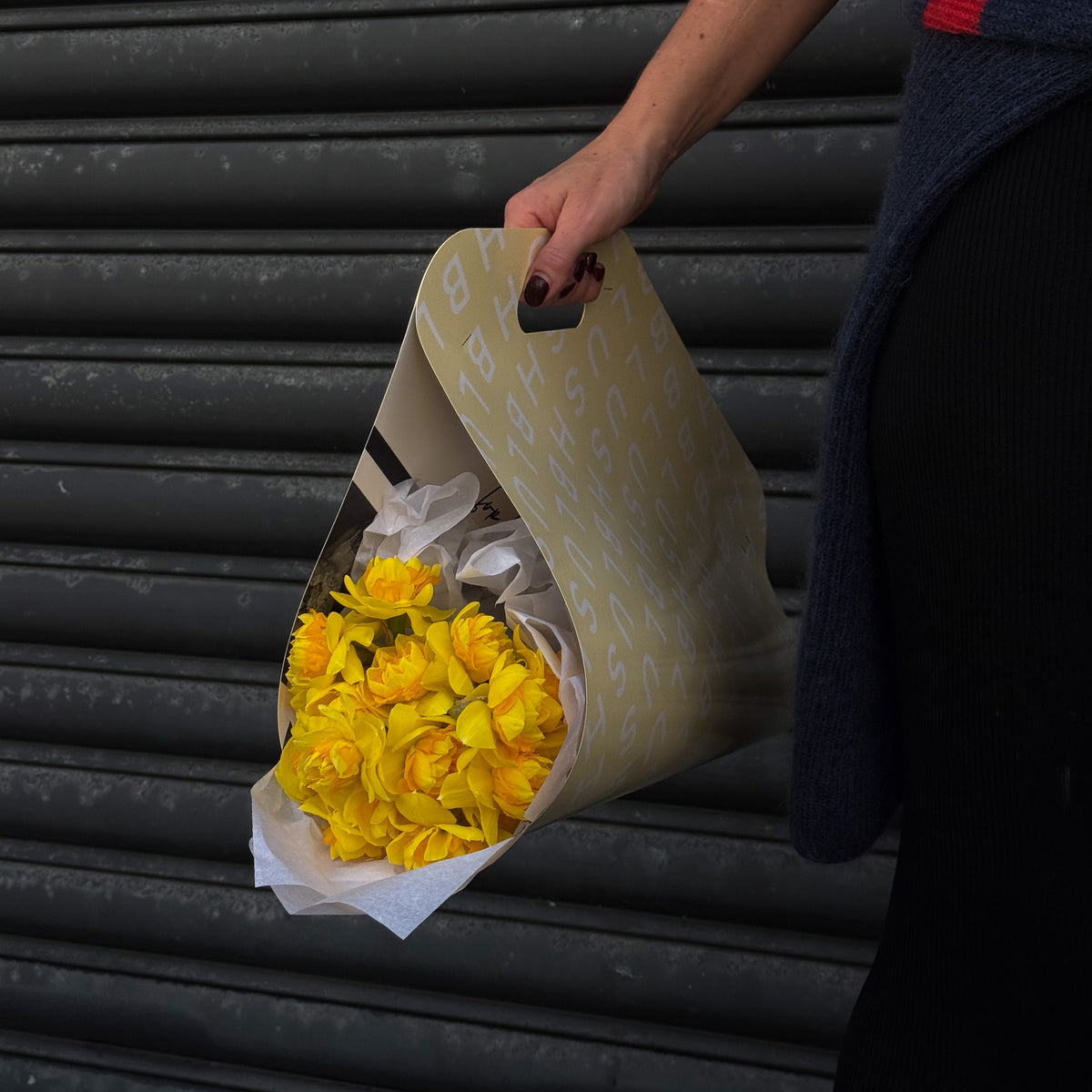 The Daffodil Carrier