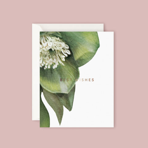 Father Rabbit Card - Hellebore Best Wishes-gift-card-blush-bouquet-flowers