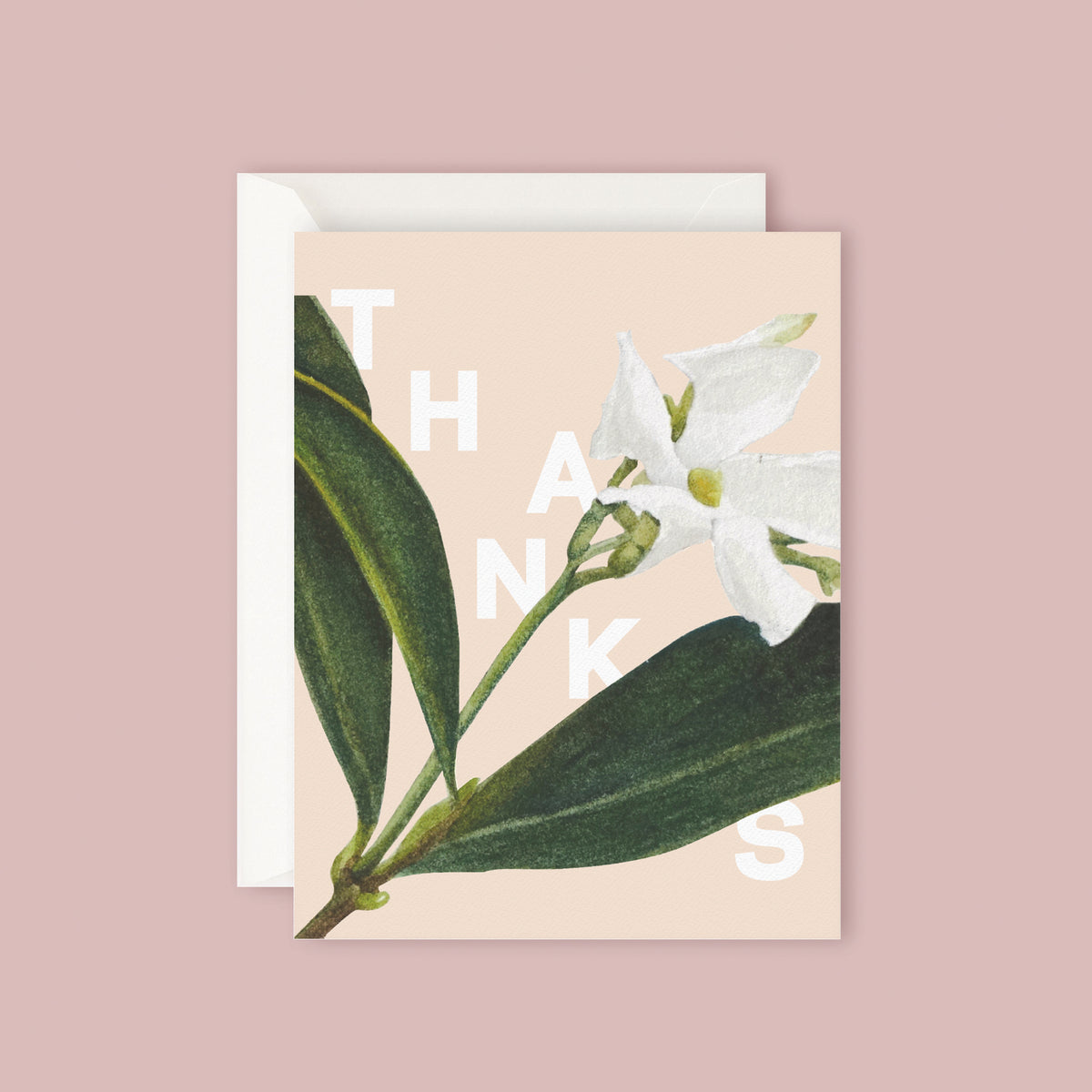 Father Rabbit Card - Jasmine Thanks- thankyou-flowers-gift-auckland-delivery